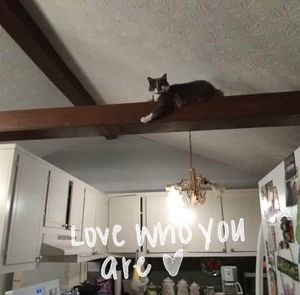 Meet your Posher, Cynthia